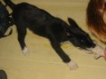 /album/moje-mladi/img-2129-jpg/